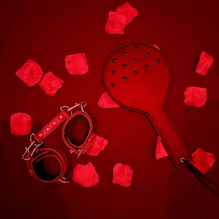 Dalikyda La Tentation Jacuzzi Cinéma élégant * Le Havre